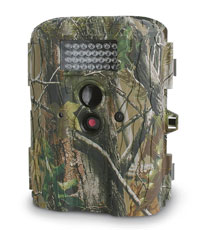 Motion Detection Camera