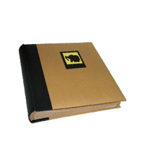 Traditional (100 Pages) Photo Albums