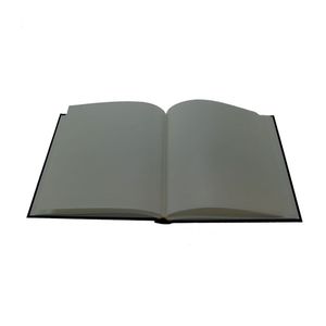 Alternative Image 1