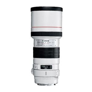 Canon EF 300mm f4 L IS USM Lens