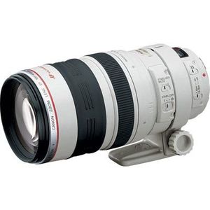 Canon EF 100-400mm f4.5-5.6 L IS USM Lens
