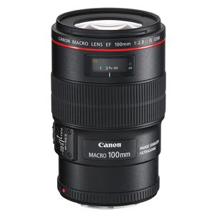 Canon EF 100mm f2.8 L IS Macro USM Lens