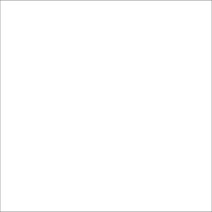 Dorr White Studio Backdrop 270x700cm