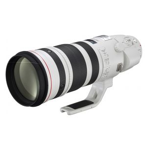 Canon EF 200-400mm f/4L IS USM Extender 1.4x Lens