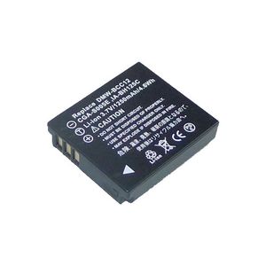 Dorr CGA-S005 Lithium Ion Panasonic Type Battery