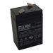 Dorr Bolyguard Motion Detection PBQ Battery 6V 4.5Ah
