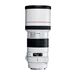 Canon EF 300mm f4 L IS USM Lens