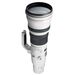 Canon EF 600mm f4 L IS II USM Lens
