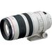 Canon EF 100-400mm f4.5-5.6 L IS USM Lens