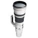 Canon EF 800mm f5.6 L IS USM Lens