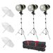 Dorr Basic Studio Kit 160 with Flash Heads/Stands/Shield/Case