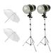 Dorr Basic Flash Kit - 2x 120 Watt Heads 2x Umbrellas 2x Stands