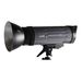 Dorr DPS-301 Studio Flash