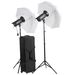 Dorr Professional Studio Kit A DPS Touch 300 Watt Studio Flash