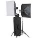 Dorr Professional Studio Kit B DPS Touch 300 Watt Studio Flash