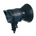 Dorr QL-500 Quartz Continuous Lighting Head - 500 Watts