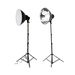 Dorr Digital Continuous 5500K 4 X 25W Lighting Kit