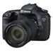 Canon EOS 7D Digital SLR Camera and 18-135mm IS Lens Kit