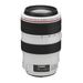 Canon EF 70-300mm f/4-5.6L IS USM Lens