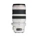 Canon EF 28-300mm f3.5-5.6 L IS USM Lens