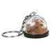 Mini Snow Globe KeyRing - Add Your Own Photo