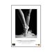 Permajet Portrait White 285 Roll Paper 17" - 12 Meters