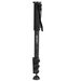 Benro C38F Carbon Fibre Monopod