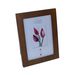 Biella Wooden 7x5 Photo Frame