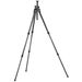 Gitzo GT2531EX Series 2 6X Carbon Explorer Tripod Legs