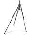 Gitzo GT2531LVL Series 2 6X Carbon Explorer 3 Sections G-Lock