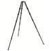 Gitzo GT5562 LTS Series 5 6X Carbon Systematic Long Tripod Legs