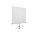 Reflecta Projector Screen AlphaLux 150 x 150 cm